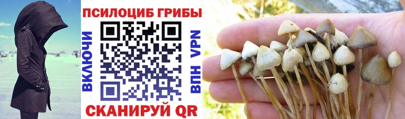 Псилоцибиновые грибы Magic Shrooms  где продают   Щучье 